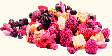 AgroGora Organic Fruits Logo